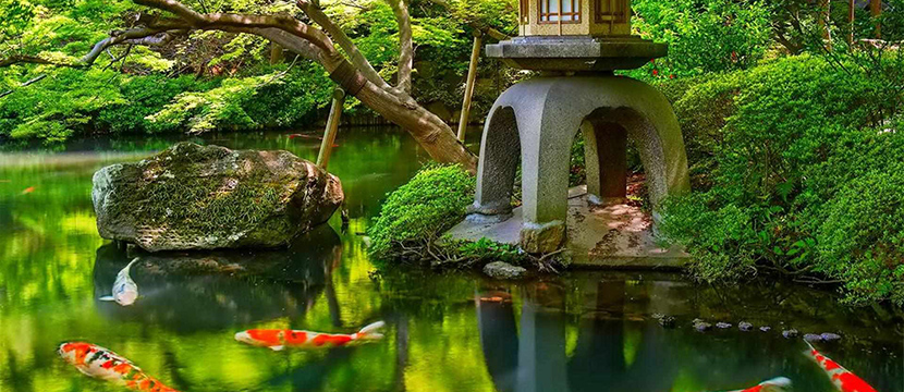 یک باغ سنتی ژاپن