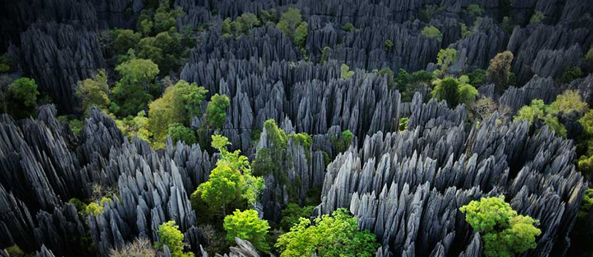 جنگل سنگ ها در ماداگاسکار