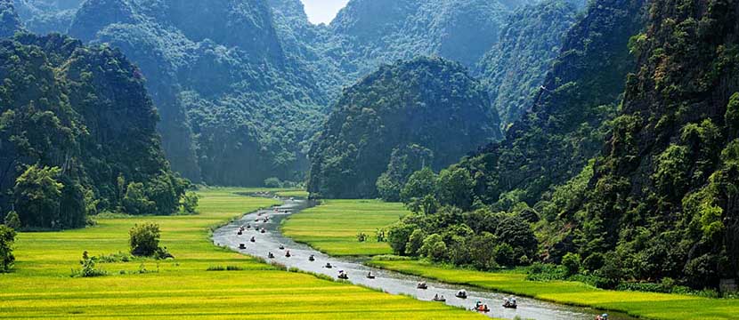 طبیعت سبز ویتنام